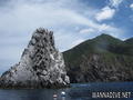 scuba diving photo