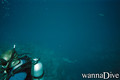 scuba diving photo