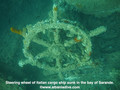 scuba diving photo