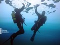 scuba diving photo