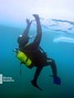 scuba diving photo