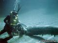 scuba diving photo