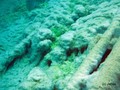scuba diving photo