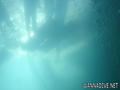 scuba diving photo