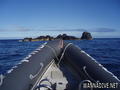 scuba diving photo
