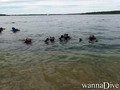 scuba diving photo