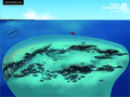 scuba diving photo