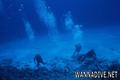 scuba diving photo