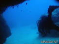 scuba diving photo