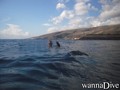 scuba diving photo