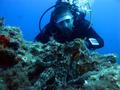 scuba diving photo