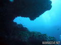 scuba diving photo