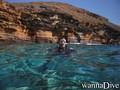 scuba diving photo