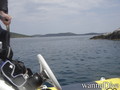 scuba diving photo