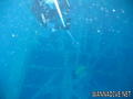 scuba diving photo