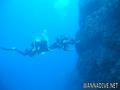 scuba diving photo