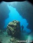 scuba diving photo