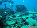 scuba diving photo