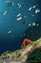 scuba diving photo