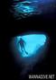 scuba diving photo