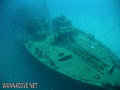 scuba diving photo