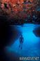 scuba diving photo