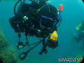 scuba diving photo