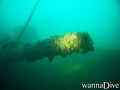 scuba diving photo