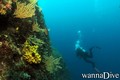 scuba diving photo