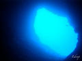 scuba diving photo