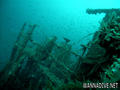 scuba diving photo