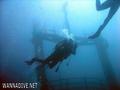 scuba diving photo