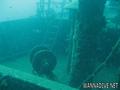 scuba diving photo