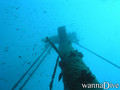 scuba diving photo