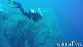scuba diving photo