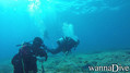 scuba diving photo
