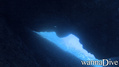 scuba diving photo