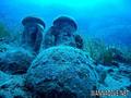 scuba diving photo