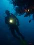 scuba diving photo