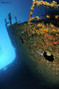 scuba diving photo