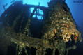 scuba diving photo