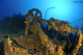 scuba diving photo