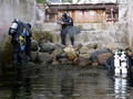 scuba diving photo