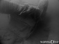 scuba diving photo