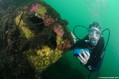 scuba diving photo