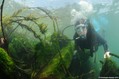 scuba diving photo
