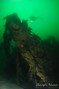scuba diving photo