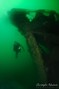 scuba diving photo