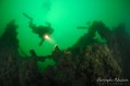 scuba diving photo