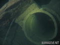 scuba diving photo
